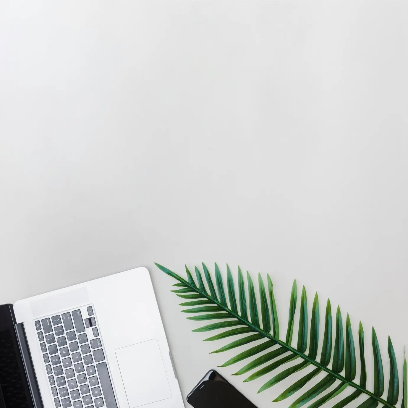 Elektronische Geräte und frisches grünes Blatt vor hellem Hintergrund